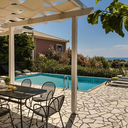 Ribbons By Select Katelios